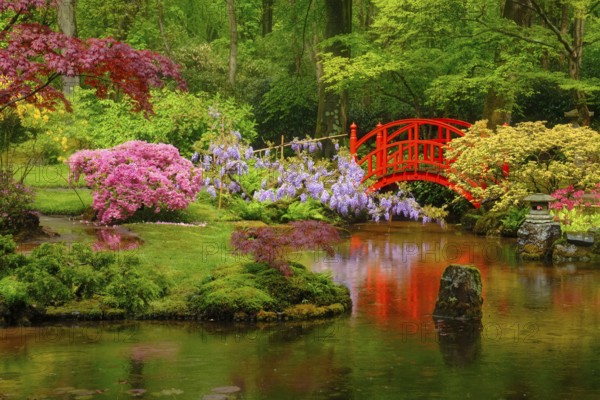 Small bridge in Japanese garden, Park Clingendael, The Hague, Netherlands