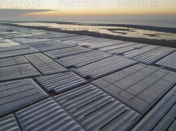 Masses of shimmering plastic greenhouses at the coast of El Ejido aside with the lagoon Salinas de Cerrillos, at dawn, aerial view, drone shot, Almería province, Andalusia, Spain, Europe