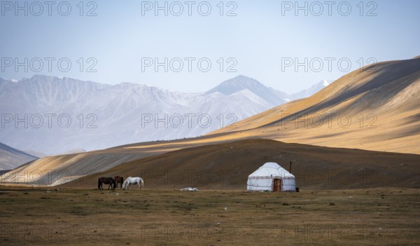 Horses at a traditional Kyrgyz yurt between golden meadows, Burkhan Valley, Terskey Ala-Too, Tien Shan, Issyk Kul Province, Kyrgyzstan, Asia