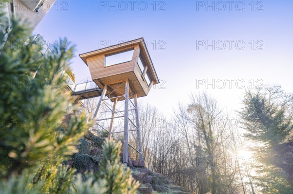Modern tree house in natural surroundings with sunset in the background, Hotel Krone Lamm, Zavelstein, Black Forest, Germany, Europe