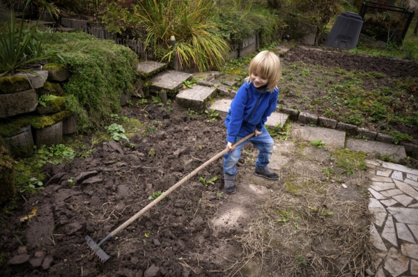Little boy, 6 years, blonde, gardening, rake, allotment, Stuttgart, Baden-Württemberg, Germany, Europe