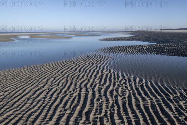 Wadden Sea, Amrum, Schleswig-Holstein, Germany, Europe