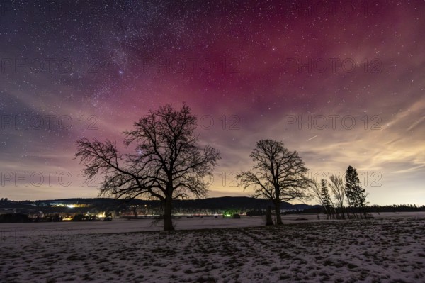 Northern Lights, Aurora borealis, Stable auroral red arc (SAR Arc), violet, pink, red, hut, stars, Loisach-Lake Kochel-Moor, foothills of the Alps, Bavaria, Germany, Europe