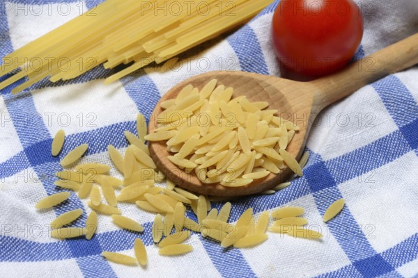 Semi di Orzo, Italian pasta in the form of barley grains, and spaghetti, pasta from Italy