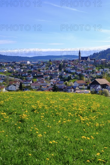 Hauzenberg, Bavarian Forest, Lower Bavaria, Bavaria, Germany, Europe