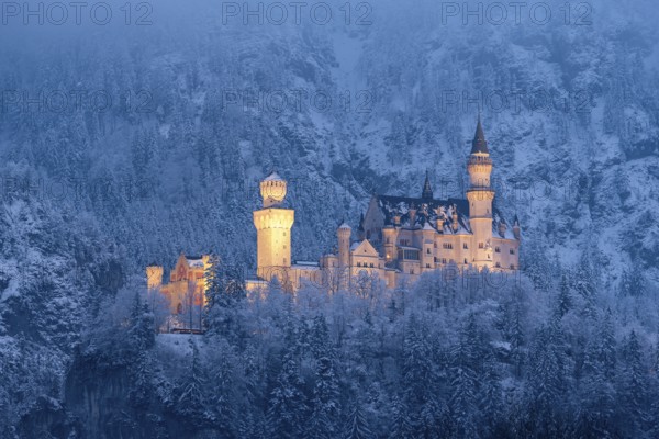 A majestic, illuminated castle in the middle of a snow-covered mountain landscape at night, Neuschwanstein, Schwangau, Ostallgäu, Allgäu, Swabia, Upper Bavaria, Bavaria, Germany, Europe