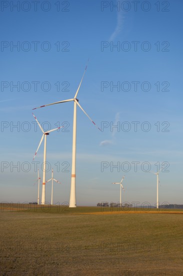 Numerous wind turbines on fields under a bright blue sky, solar park, near Ulm, Swabian Alb, Baden-Württemberg, Germany, Europe
