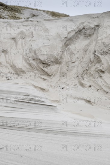 Dune landscape, Amrum, Schleswig-Holstein, Germany, Europe