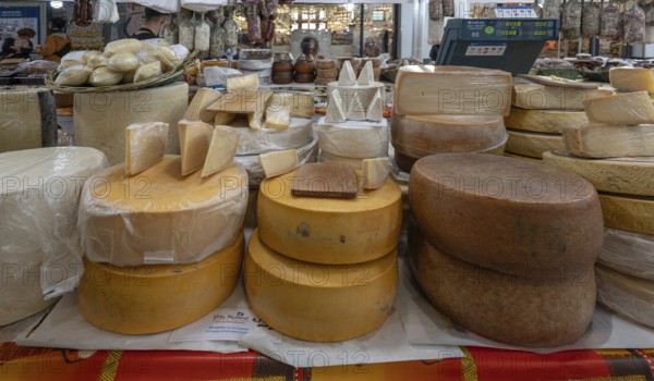 Italian cheese offer during the Italian weeks in Nuremberg, Middle Franconia, Bavaria, Germany, Europe
