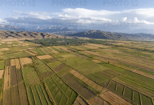 Aerial view, Cultivated fields, Agriculture, Landscape, Kyrgyzstan, Asia