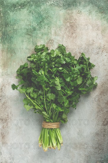 A bouquet of fresh coriander, a bunch of coriander on the table, top view