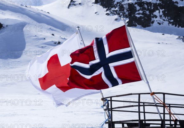 National day 17th May, snowscooter, norwegian flag, near Finse, highest railway station on railway Oslo-Bergen, glacier Hardangerjøkull, Hardanger, Norway, Europe