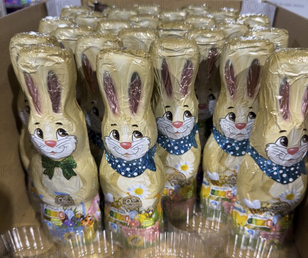 Display on retail shelf wholesale of chocolate Easter bunnies Easter bunnies made of chocolate wrapped in gold coloured staniol paper, Germany, Europe