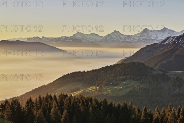 View from the Gurnigel Pass over the sea of fog behind Schreckhorn, Eiger, Mönch, Canton Bern, Switzerland, Europe