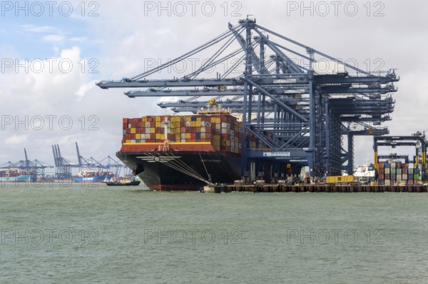 Gantry cranes on quayside MSC Istanbul container ship, Port of Felixstowe, Suffolk, England, UK