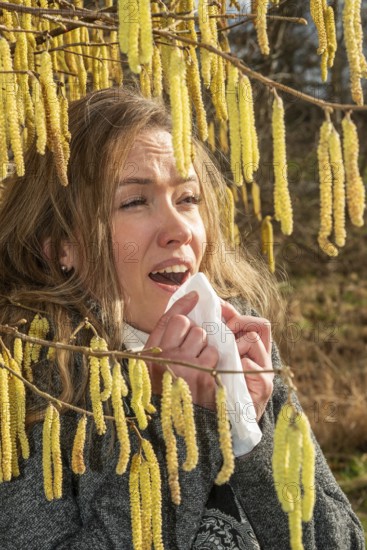 Young Caucasian woman with allergy problem stands by flowering hazel bush and sneezes into a handkerchief in Ystad, Skåne County, Sweden, Scandinavia, Europe