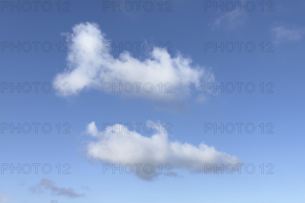 White clouds Cumulus in the formation phase under blue sky, international