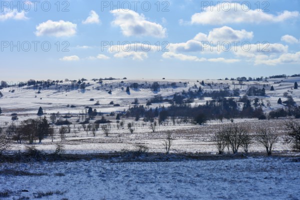 Snow-covered hills and pastures with trees under a blue sky with white clouds, winter, Oberelsbach, Lange Rhön, Rhön, Bavaria, Germany, Europe