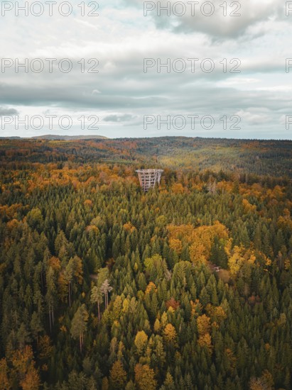 Aerial view of the observation tower treetop walk in the autumn forest, Bad Wildbad, Black Forest, Germany, Europe