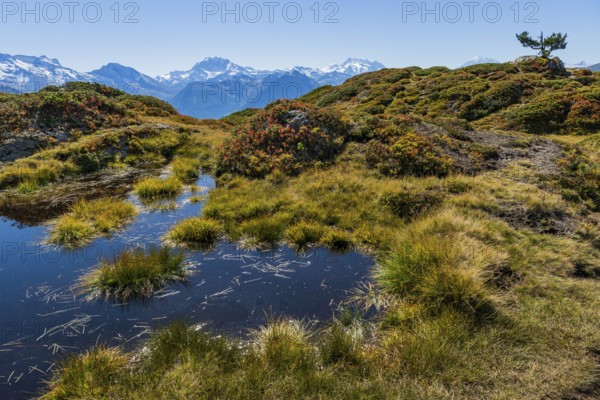 Hiking on the Moranenweg, Riederalp, tourism, hiking, hike, blue sky, Aletsch Arena, Valais, Switzerland, Europe