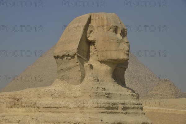 Sphinx or Great Sphinx of Giza, lion with a human head, built in the 4th Egyptian dynasty around 2700 BC, in front of the Pyramid of Cheops, Giza, Egypt, Africa