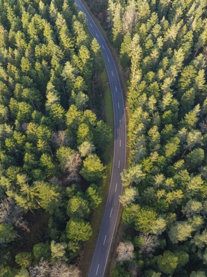 Bird's eye view of a winding road meandering through a dense, green forest, secluded and quiet, Agenbach, Black Forest, Germany, Europe