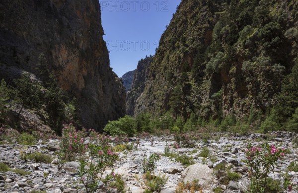 Hiking trail through the Samaria Gorge, south coast, Crete, Greece, Europe