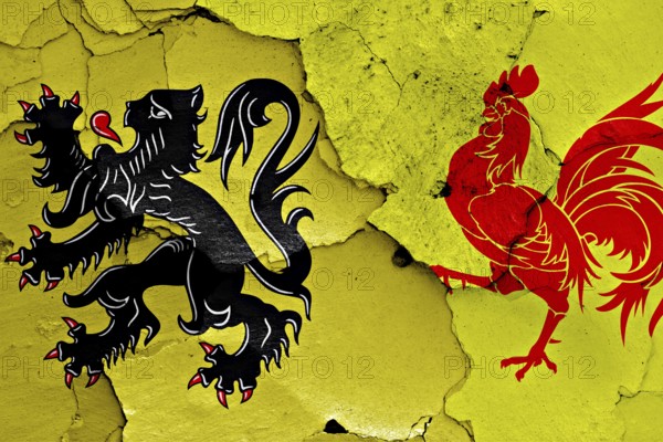 Flags of Flanders and Wallonia painted on cracked wall