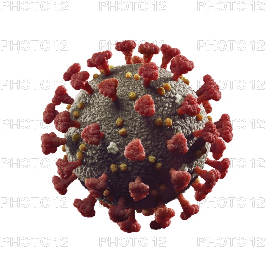 Coronavirus, COVID-19, SARS-CoV-2 Corona virus particle 3D illustration in color isolated on white background