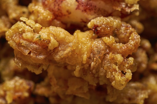Puntilla Tapas fried little breaded skid of spain