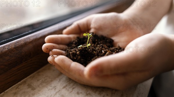 Little child holding dirt sprout his hands