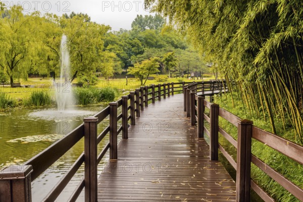 Wooden elevated walkway over man made pond with fountain shooting water next to bamboo grove in public wilderness park in South Korea