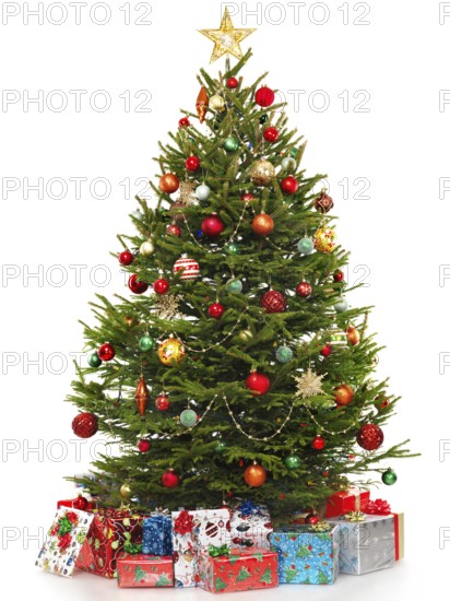 Beautiful decorated Christmas tree with colorful wrapped gifts under it. Isolated on white background