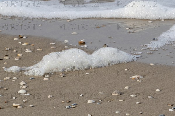 White glittering foam in the surf on the beach