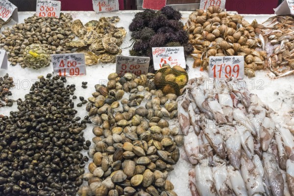 Fresh seafood at a market in Madrid, Spain, Europe