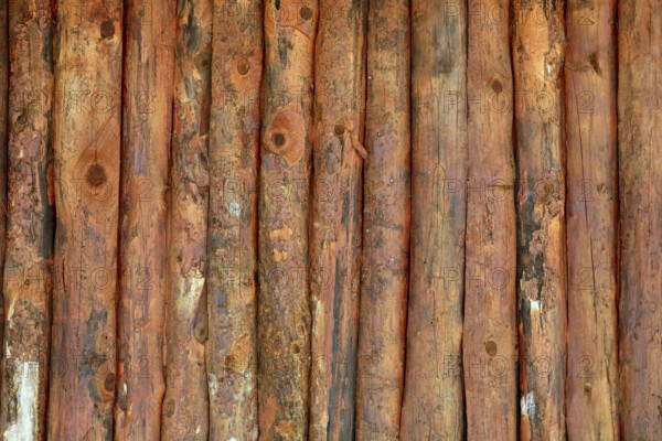 Vertical wood trunks wall texture in orange color