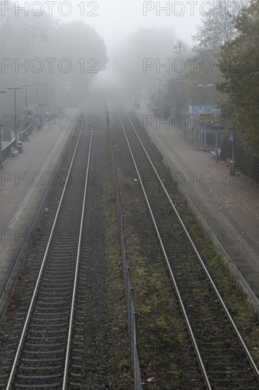 Deserted railroad tracks vanishing into thick fog on a misty autumnal morning, creating a mysterious and evocative atmosphere