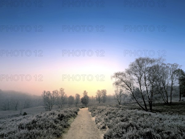 Hiking in winter with frost in the Fischbeker Heide in Hamburg