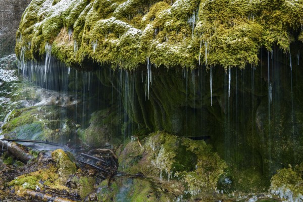 Waterfall in the Wutach Gorge, Dietfurt Schleierfall, in winter with icicles, Black Forest, Baden-Württemberg, Germany, Europe