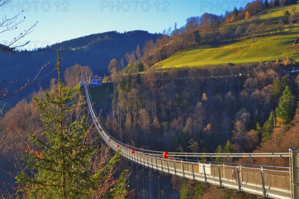 A suspension bridge leads over a wooded landscape with a meadow slope in the background, Black Forest Line, suspension bridge, Todtnau, Baden- Württemberg, Germany, Europe