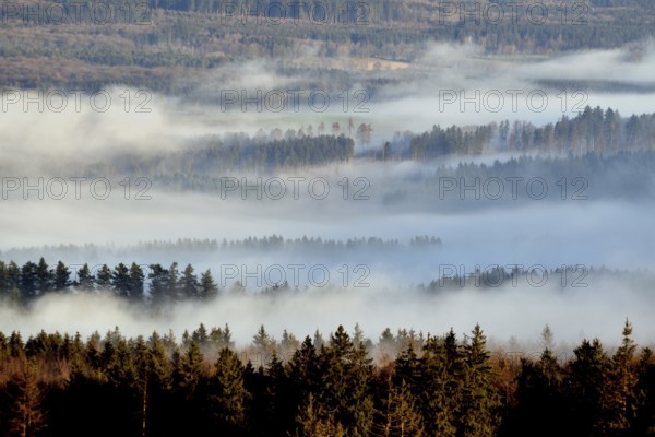 View of the forest from a hiking trail in the Hunsrück-Hochwald National Park in sunshine and fog on a winter morning, Rhineland-Palatinate, Germany, Europe