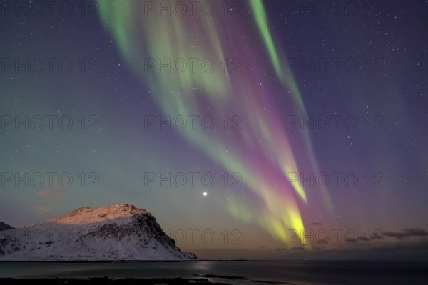 Northern Lights (Aurora borealis), Aurora Borealis, Lofoten, Norway, Europe