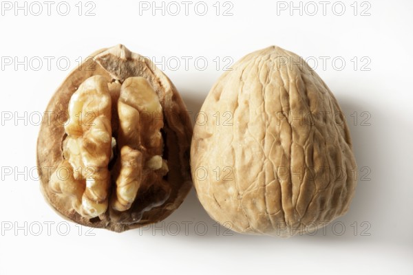 Walnut and shell isolated macro over white background