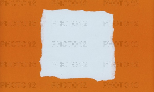 Blank piece of paper
