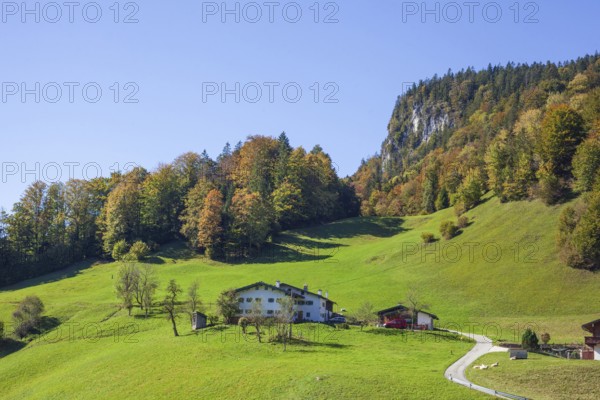 Alpine pasture with houses and forest near Maria Gern in autumn, Berchtesgarden Alps, Berchtesgaden, Berchtesgadener Land, Upper Bavaria, Bavaria, Germany, Europe