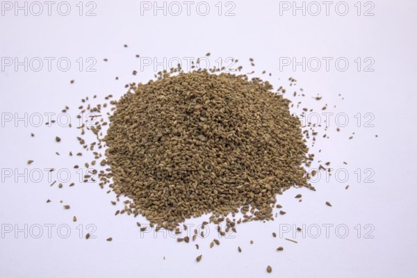 Carom Seeds, Bishop's Weed, Thymol Seeds, Ajwain, Isolated, White Background