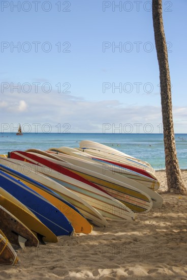 Vertical shot of several surfboards displayed on a rack at a beach in Hawaii