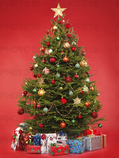Beautiful decorated Christmas tree with colorful wrapped gifts under it. Isolated on bright red background