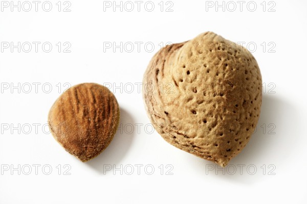 Almond macro image over white background, studio shot