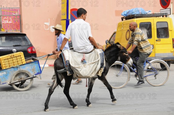Rissani, Middle Atlas, Rissani, Morocco, A man rides a donkey on a road next to other road users, Rissani, Middle Atlas, Rissani, Morocco, Africa